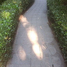 Spring-pressure-washing-for-Kirkland-springs-apartments 30
